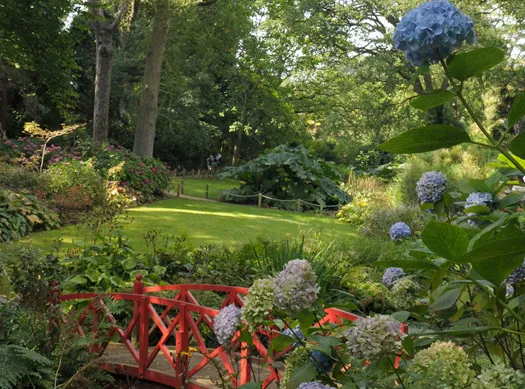 Abbotsbury subtropical gardens image